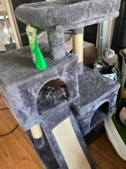 Photo of free Car Tree (TW20) #2