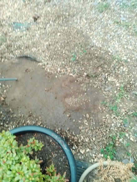 Photo of free Shingle (HP2 heme Hempstead) #1