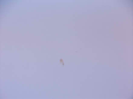 Photo of free WHITE Roller Blind 200cm W x160max (ME16 - Allington) #4