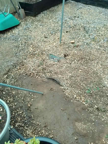 Photo of free Shingle (HP2 heme Hempstead) #3