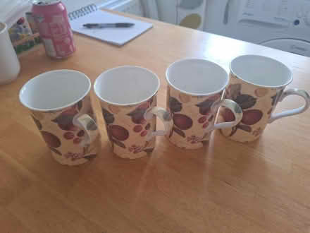 Photo of free 4 mugs (Forestgreen) #1