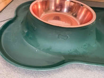 Photo of free Small dog bowls and matt (Weybridge) #3