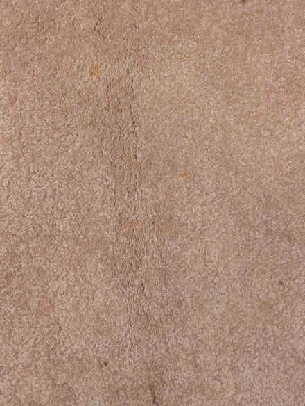 Photo of free Small bit of carpet (Sheffield S12) #2
