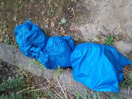 Photo of free 7 heavy bags of builders sand (Beauchief, S8) #2