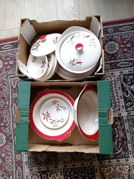 Photo of free Vintage Dinnerware (Dore S17) #1