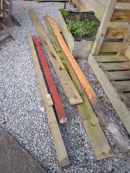Photo of free Timber and Fence posts (Trinity EH5) #1