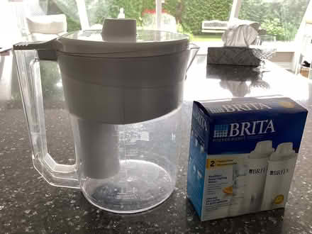Photo of free Brita jug (Creditview and Britannia) #1