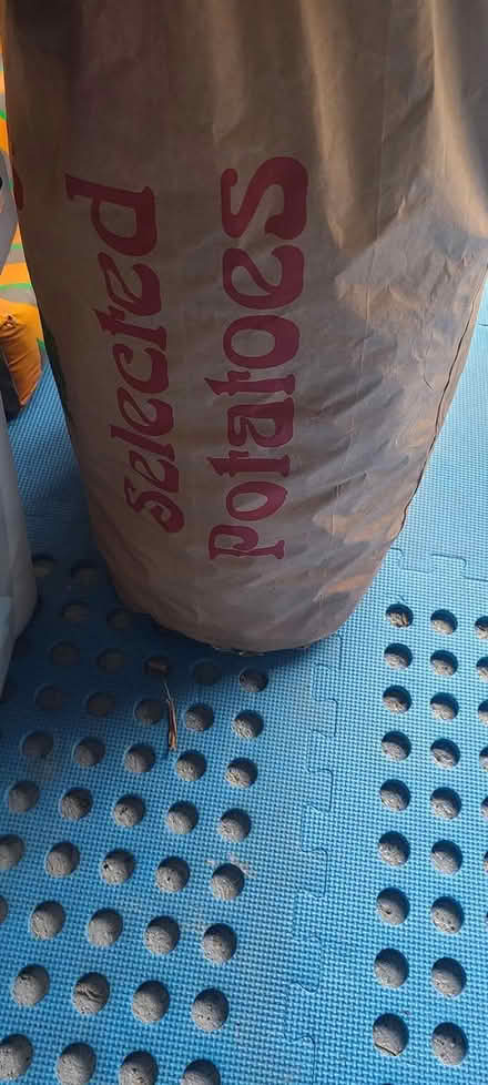 Photo of free Sprouting Potatoes Full Sack (TF2) #2