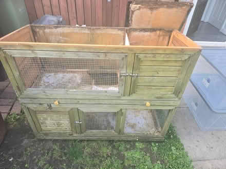 Photo of free Rabbit huch and run (Stockport,Manchester SK8) #1