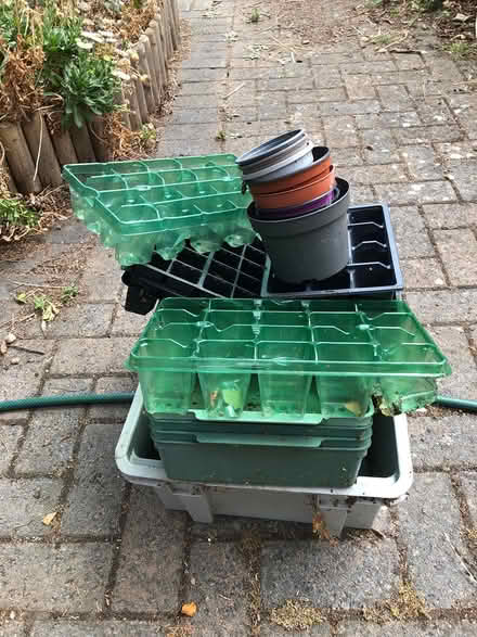 Photo of free Seed trays (Hucclecote,) #1