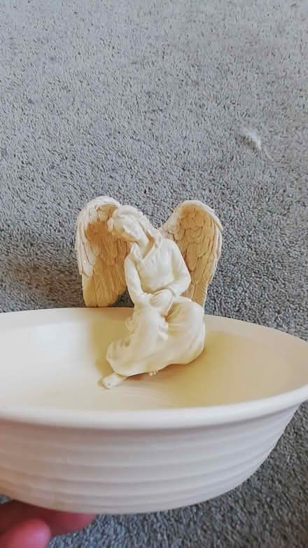 Photo of free Decorative algel bowl (Nottingham NG5) #1