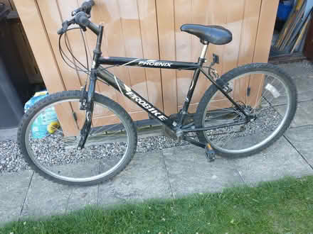 Photo of free Adult bike (Presteigne LD8) #1