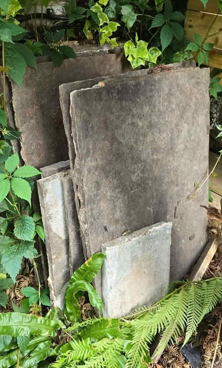 Photo of free Stone garden tiles (Chiswick W4) #1