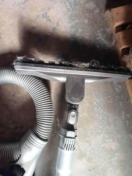 Photo of free Dyson allergy cylinder DC08. (Frankwell SY3) #2