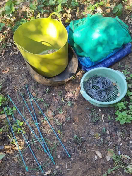 Photo of free Gardening stuff (Lings) #1