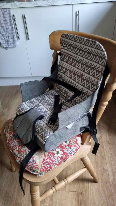 Photo of free Travel booster chair (East Grinstead (RH19)) #1