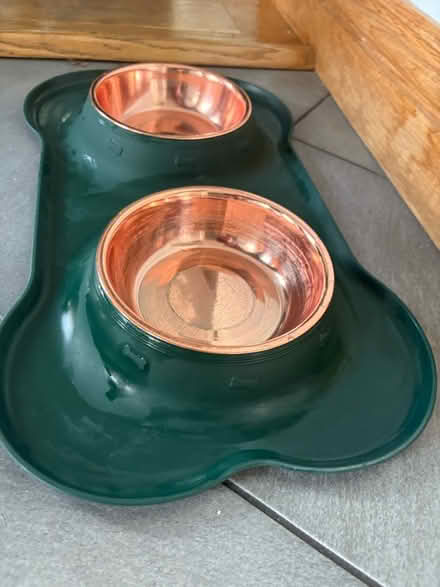 Photo of free Small dog bowls and matt (Weybridge) #2