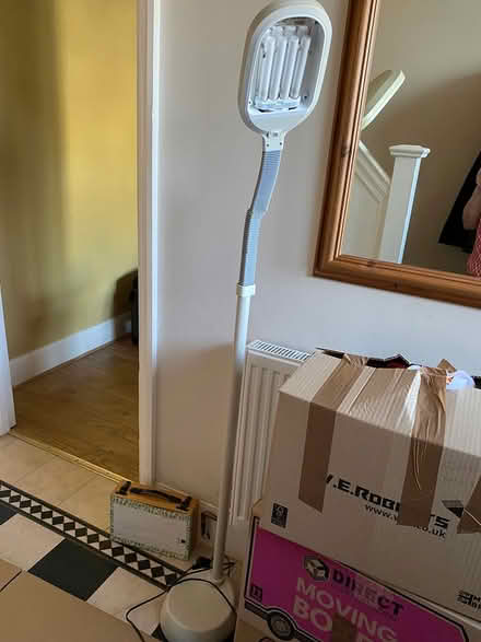 Photo of free Lamp (West Ewell Epsom KT19) #2