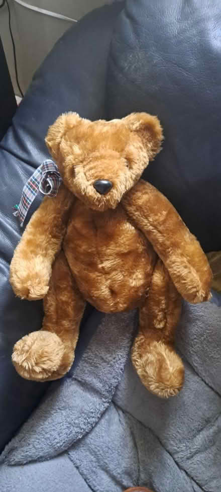 Photo of free Hand made teddy bear (CR0) #1