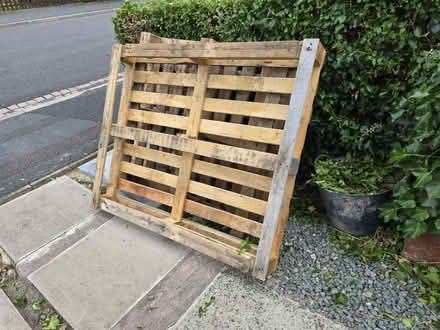 Photo of free Wooden pallets (TF10) #2