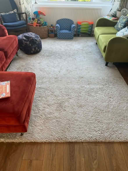 Photo of free 2m x 3m Large Rug (CT17) #1