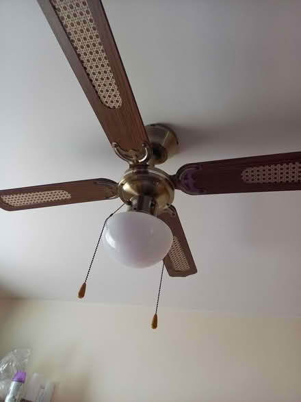 Photo of free Ceiling lights with fan (hainault, essex. IG6) #2