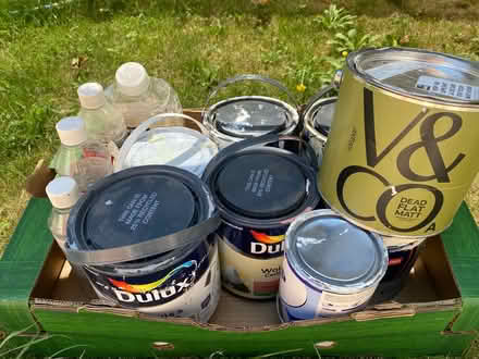 Photo of free Paints (Abbey Wood) #1