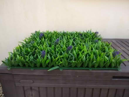Photo of free Plastic Artificial Grass (St Austell) #2