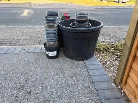 Photo of free Plants pots (BR54) #1