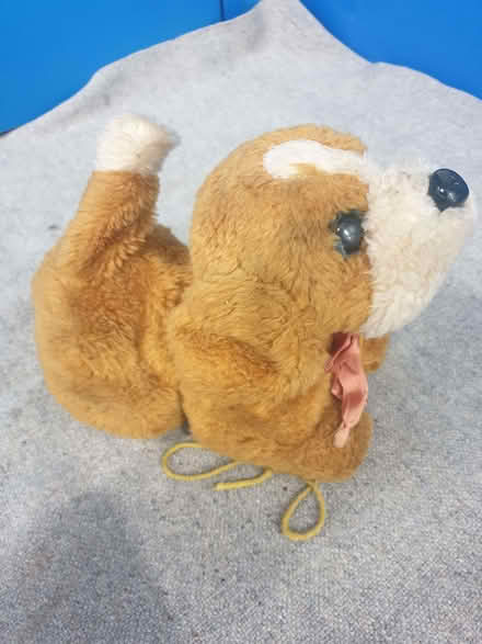 Photo of free Pull Along Toy Dog (Norton Canes WS11) #1