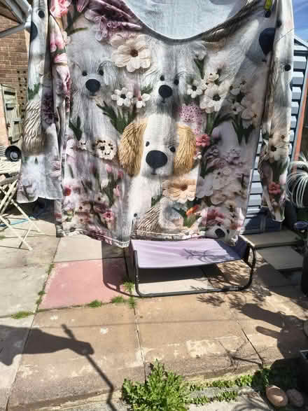 Photo of free T-shirt (Fiveways Brighton) #3