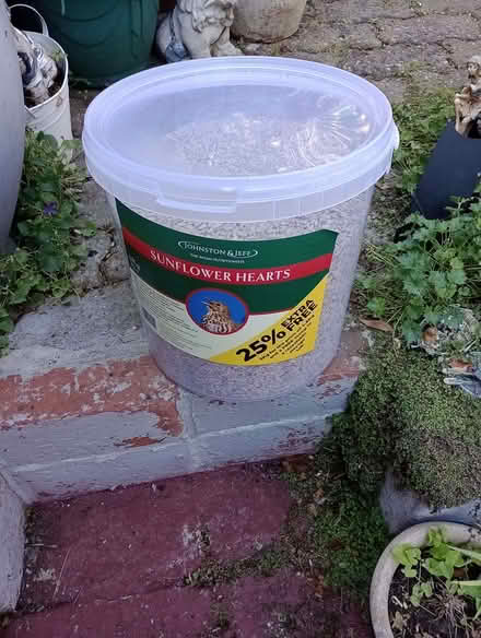 Photo of free Sunflower Hearts (CT12) #1