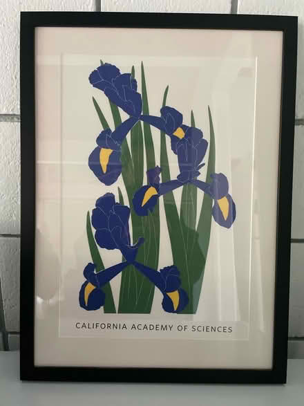 Photo of free Framed Artwork (Santa Clara) #1