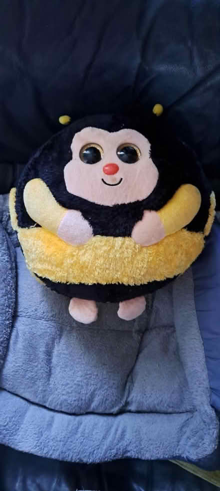 Photo of free Ty zips (CR0) #1