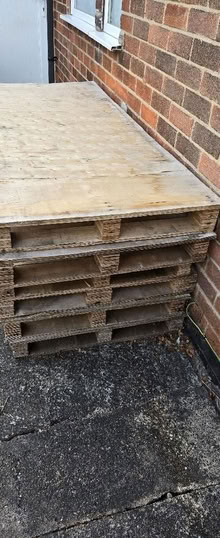 Photo of free 6 x pallets (Arnold NG5) #2