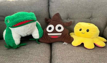 Photo of free Soft toys (West Bergholt CO6) #1