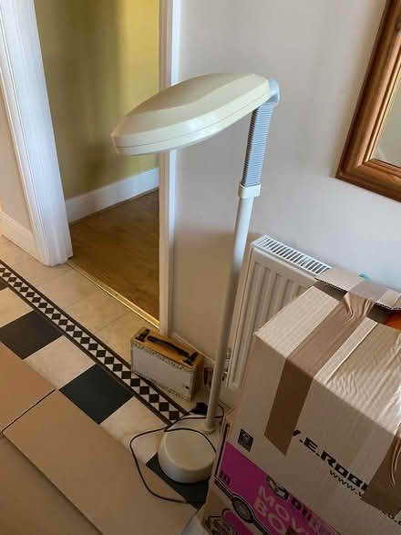 Photo of free Lamp (West Ewell Epsom KT19) #1