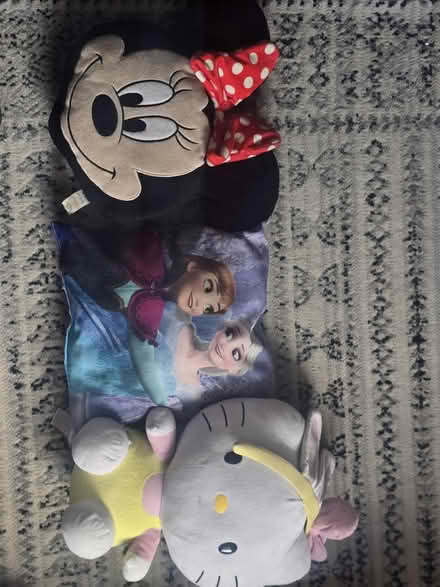 Photo of free Cushion for a child's room (Broxtowe NG8) #1