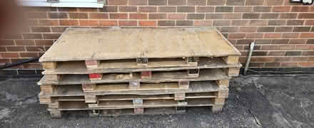 Photo of free 6 x pallets (Arnold NG5) #1