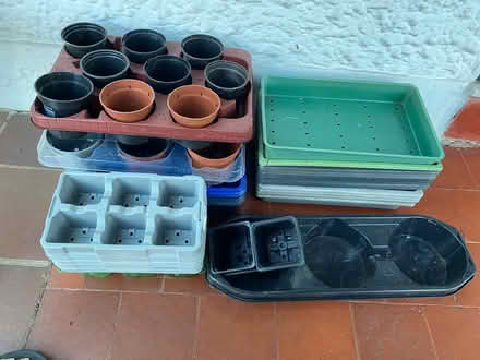 Photo of free Various plastic plant pots & trays (SL6 Furze Platt) #1