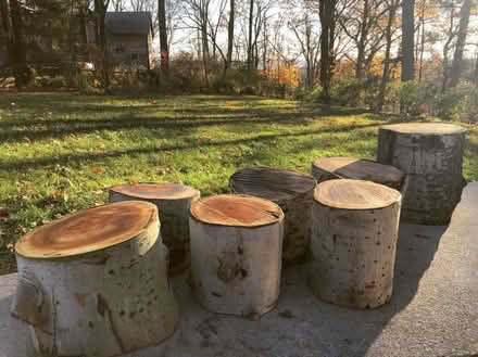 Photo of Tree trunk sections and car tyres (Northmoor OX29) #1