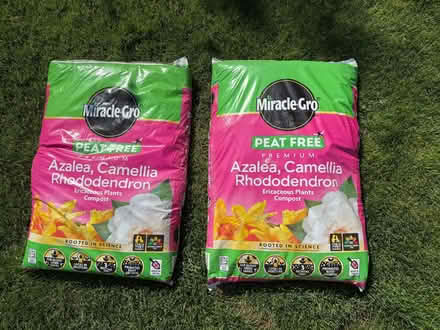 Photo of free 2 x 40 Litre Ericaceous Compost (CT21) #1
