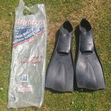 Photo of free Solid Pair of Rubber Flippers (CT19) #1