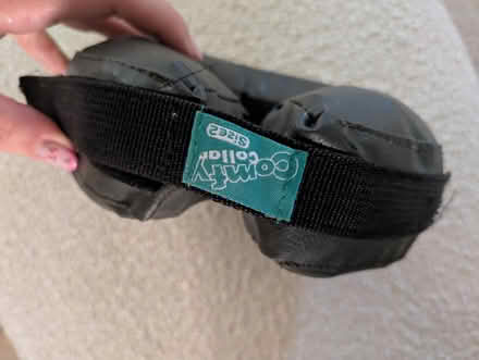 Photo of free Inflatable collar (Hucclecote Meadows GL3) #2