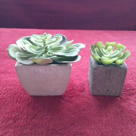 Photo of free Two small artificial plants (OX1 South Oxford) #2