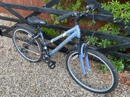 Photo of free Ladies Bike (Braintree, Great Notley, CM77) #3