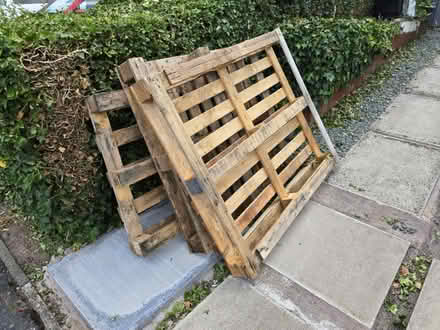 Photo of free Wooden pallets (TF10) #1