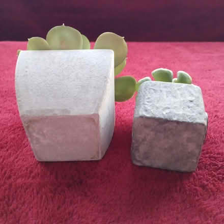 Photo of free Two small artificial plants (OX1 South Oxford) #4