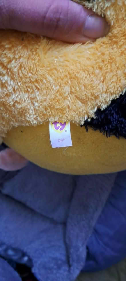 Photo of free Ty zips (CR0) #2