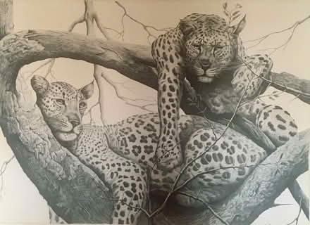 Photo of free Picture (Arlesey) #1